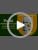 Thumbnail for Image 7 of Poshi Pitted Olives & Marinated Veggie Snack Packs, 8 Variety (Pack of 24)